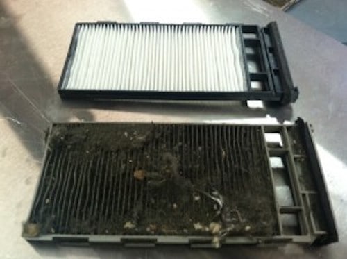 Importance Of Your Cabin Air Filter